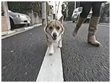  傤̂ ʐ^4