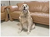 j[ 傤̂ ʐ^5