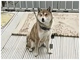  傤̂ ʐ^2
