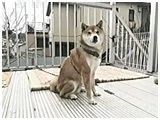  傤̂ ʐ^5