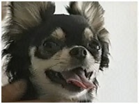  傤̂ ʐ^1