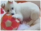  傤̂ ʐ^3