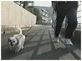 ~ 傤̂ ʐ^5