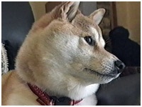 `R 傤̂ ʐ^1
