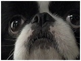  傤̂ ʐ^3