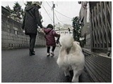 Y 傤̂ ʐ^4