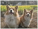 NbL[ 傤̂ ʐ^5