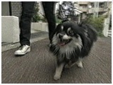 bnbn 傤̂ ʐ^2