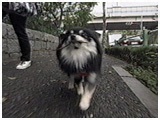 bnbn 傤̂ ʐ^5
