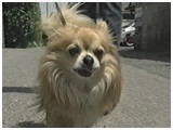 WbN 傤̂ ʐ^4