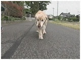 GX 傤̂ ʐ^5
