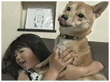 啟 傤̂ ʐ^4