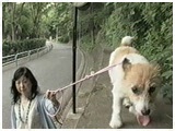  傤̂ ʐ^3