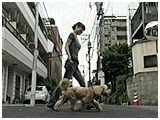 NEfB 傤̂ ʐ^2