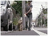 NEfB 傤̂ ʐ^3