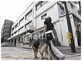 NFi 傤̂ ʐ^3