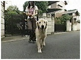 tH[ 傤̂ ʐ^2