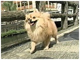pX 傤̂ ʐ^2