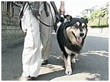 AbNX 傤̂ ʐ^2