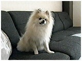NbL[ 傤̂ ʐ^2