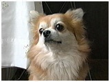  傤̂ ʐ^3