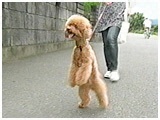 NbL[ 傤̂ ʐ^4