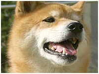  傤̂ ʐ^1