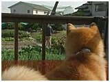  傤̂ ʐ^4