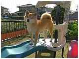  傤̂ ʐ^5