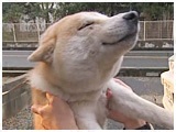  傤̂ ʐ^3
