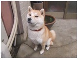  傤̂ ʐ^5