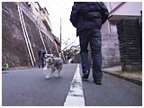 [[t 傤̂ ʐ^3