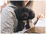 v 傤̂ ʐ^5