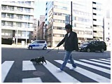 MAX 傤̂ ʐ^4