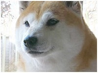  傤̂ ʐ^1