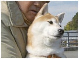  傤̂ ʐ^3