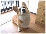  傤̂ ʐ^5