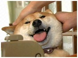  傤̂ ʐ^3