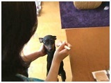 vivi 傤̂ ʐ^4