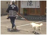 VE 傤̂ ʐ^3