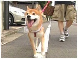 b` 傤̂ ʐ^5