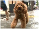 Y 傤̂ ʐ^2
