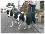 灕䂫 傤̂ ʐ^2