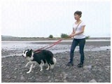 灕䂫 傤̂ ʐ^3