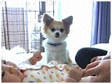 } 傤̂ ʐ^5