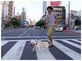 Iu 傤̂ ʐ^2