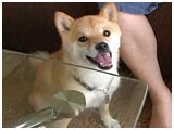 _{ 傤̂ ʐ^4