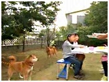 ni 傤̂ ʐ^4