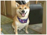 x 傤̂ ʐ^2