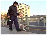 Vg 傤̂ ʐ^5